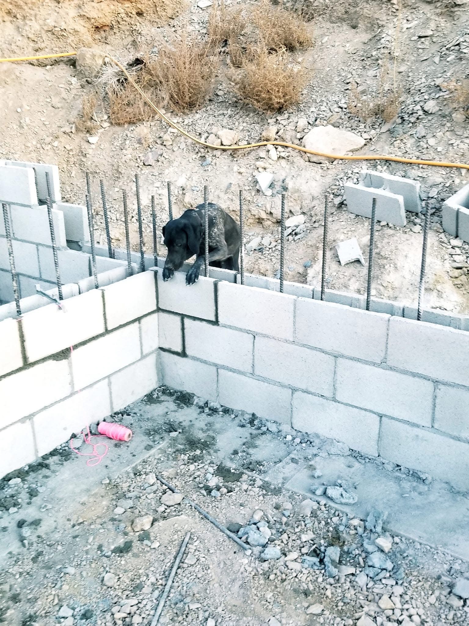 Gallery Image : Freedom Masonry
