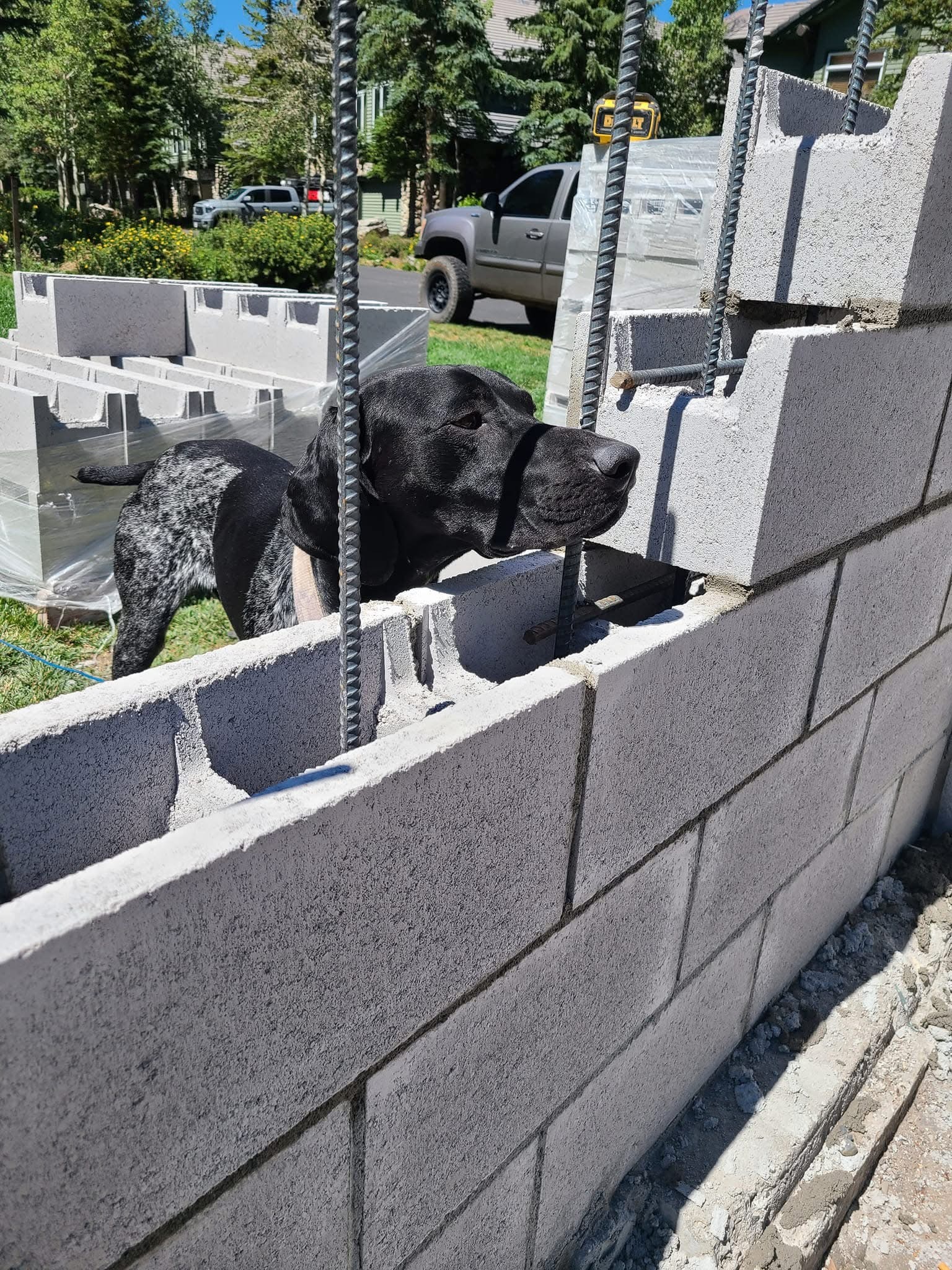 Gallery Image : Freedom Masonry
